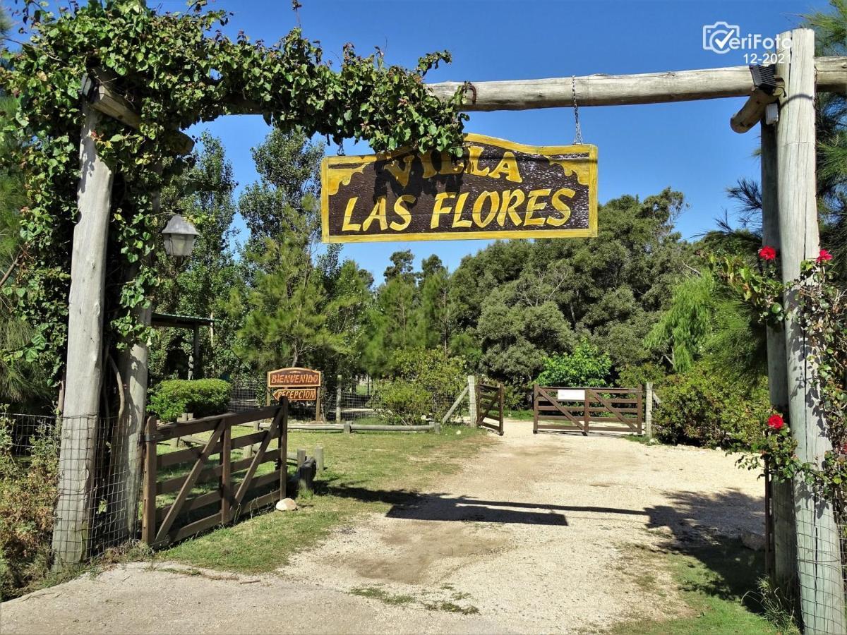 Flores Lodge *